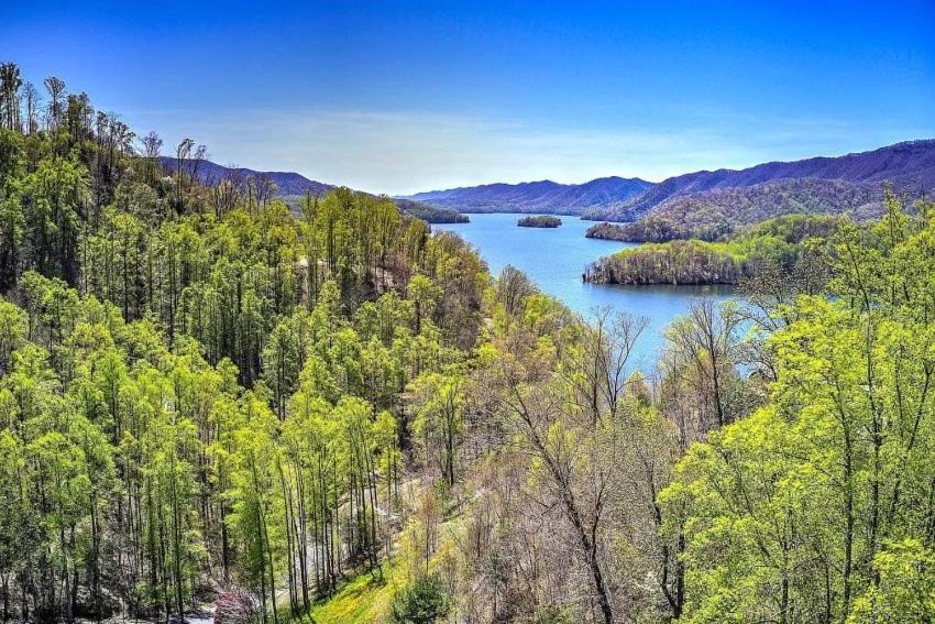 Iron Mountain Lodge - Beautiful Cabin With Forest & Mountain Views! Butler Exteriör bild