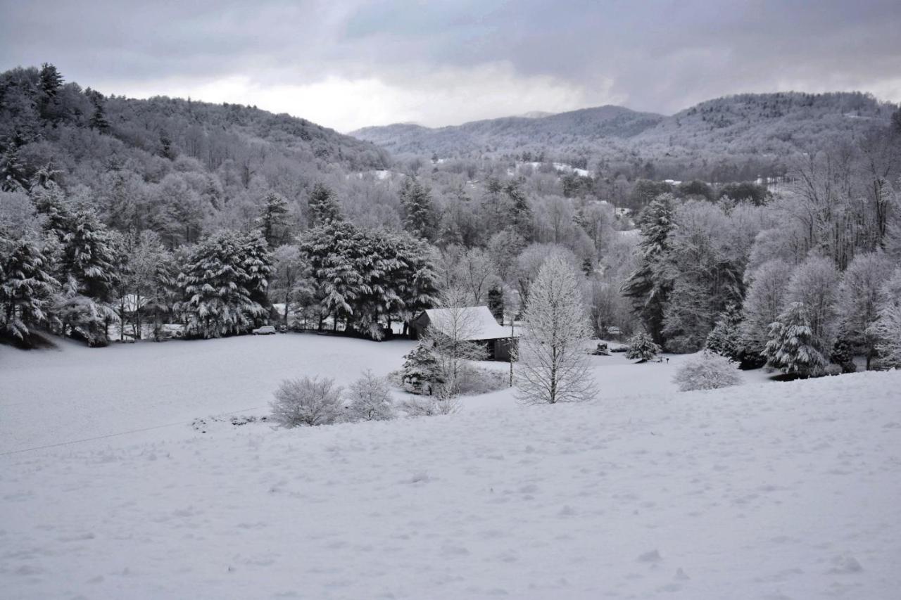 Iron Mountain Lodge - Beautiful Cabin With Forest & Mountain Views! Butler Exteriör bild