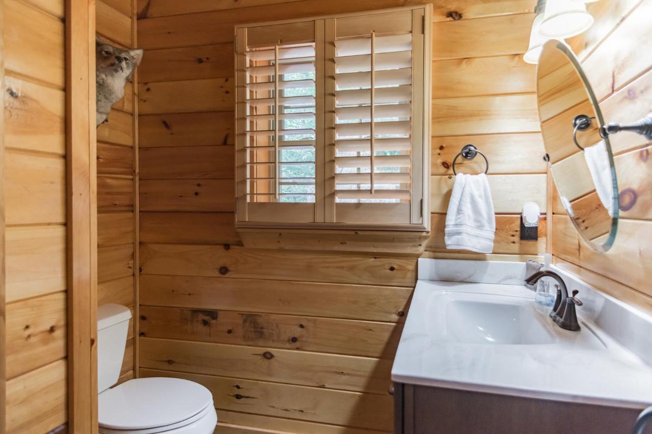 Iron Mountain Lodge - Beautiful Cabin With Forest & Mountain Views! Butler Exteriör bild